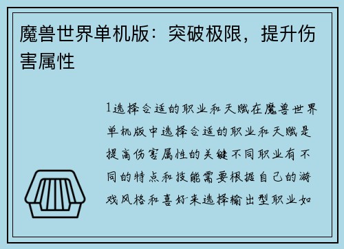 魔兽世界单机版：突破极限，提升伤害属性