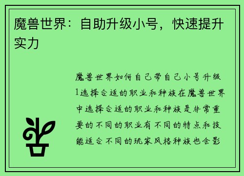 魔兽世界：自助升级小号，快速提升实力